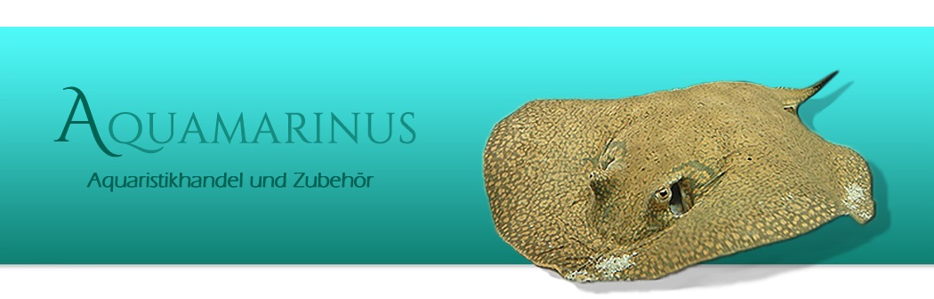 www.aquamarinus.de